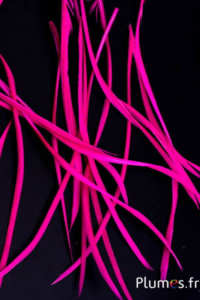 Oie strippé  - 10-17 cm - fuchsia